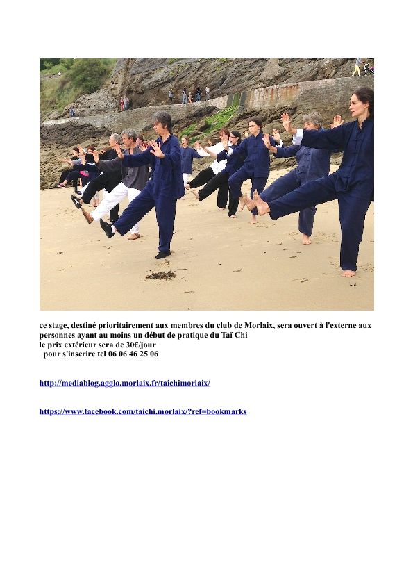 stage_magali_201 (...), page 2